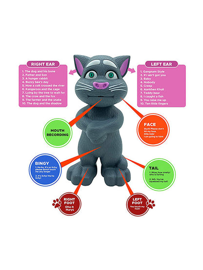 Talking Tom Toy with Recording, Music, Touch Functionality, Voice, Songs (L-13)